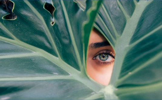 Jesus lebt – Hoffnung wird Wirklichkeit