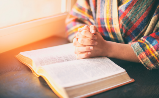 Auf kurzem Dienstweg